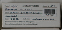 Image Associated With the Occurence